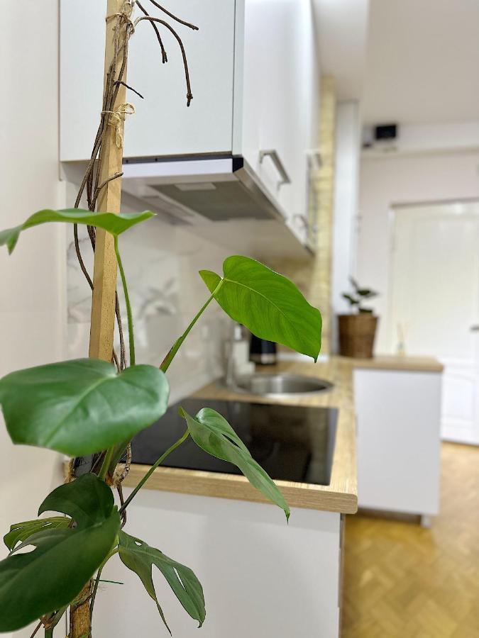 דירה Apartment *
